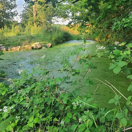 Le Pressoir De Mon Pere