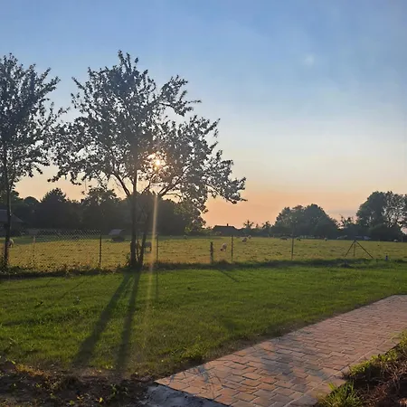 Le Pressoir De Mon Pere