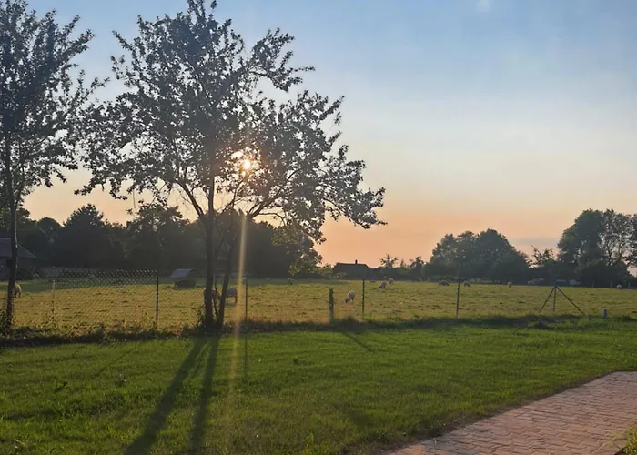 Le Pressoir De Mon Père